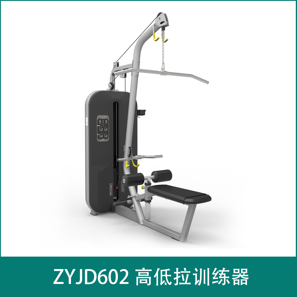 ZYJD602  High and low pull trainer